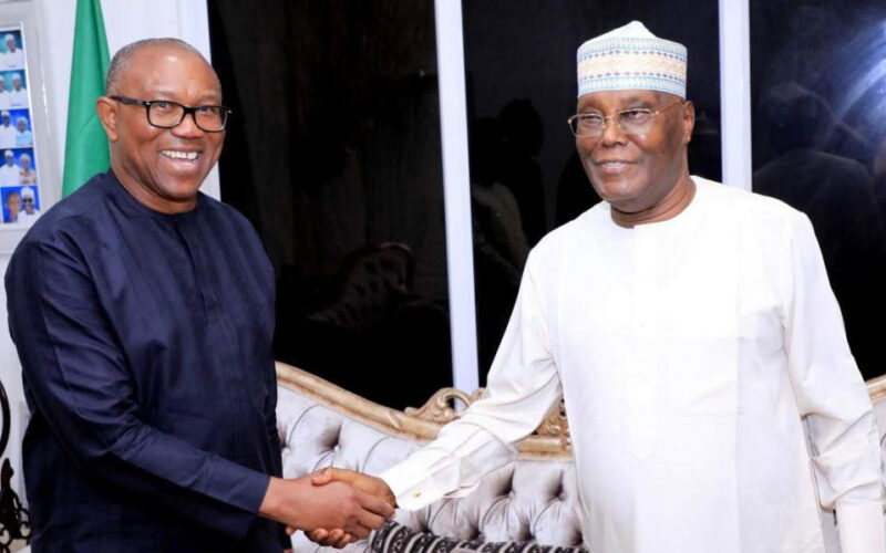 2027: G100 leader admits persuading Obi, Atiku to work together difficult
