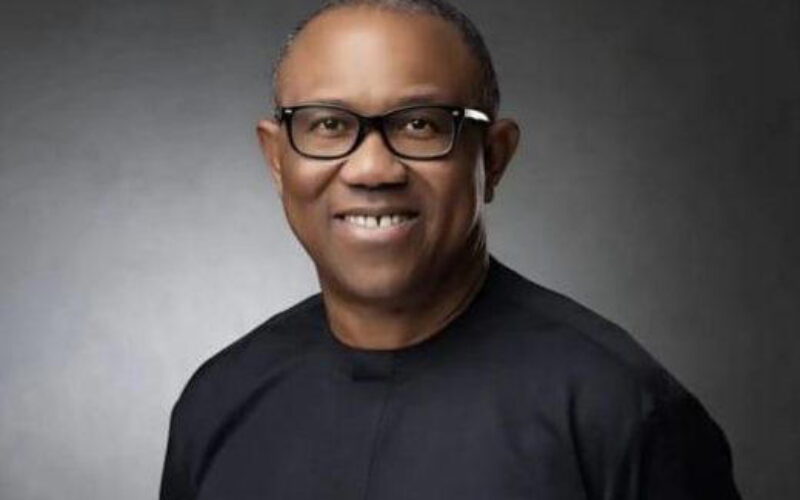 Obidient Connect Texas inaugurates leadership structure, mobilises diaspora for 2027 vote protection