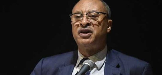 Nigeria must lead Africa’s renaissance, rise above petty political differences – Utomi