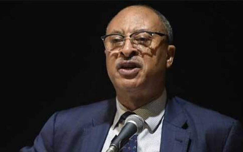 Nigeria must lead Africa’s renaissance, rise above petty political differences – Utomi