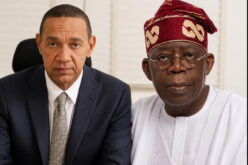 ‘Nigeria needs more mad men in your government’ – Murray-Bruce tells Tinubu