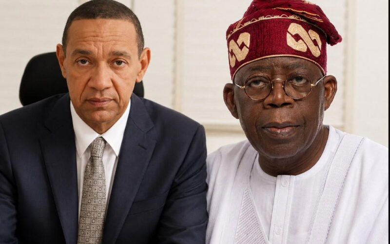 ‘Nigeria needs more mad men in your government’ – Murray-Bruce tells Tinubu