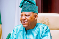 Shettima bans congratulatory advertisements on his birthday