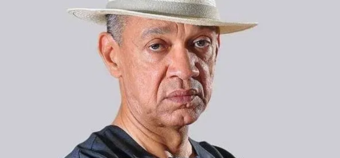 Murray-Bruce to President Tinubu: Decentralise power system in Nigeria