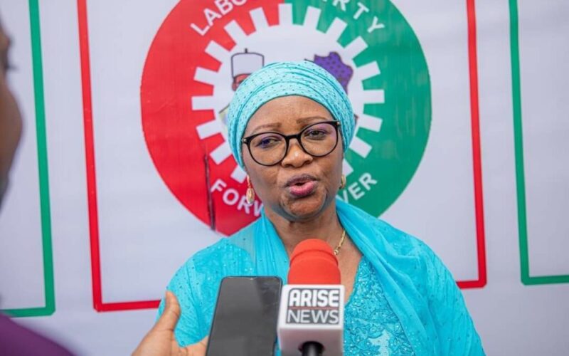 Jonathan’s 2015 sacrifice saved Nigeria’s democracy — Nenadi Usman