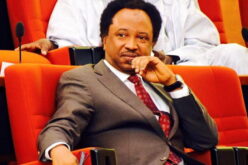 ‘Opposition wants Adeleke to be confrontational with Tinubu’ — Shehu Sani