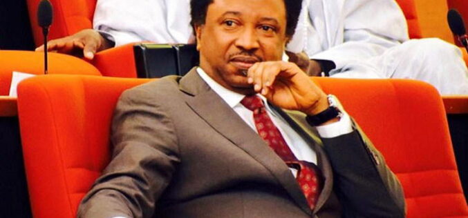 ‘Opposition wants Adeleke to be confrontational with Tinubu’ — Shehu Sani
