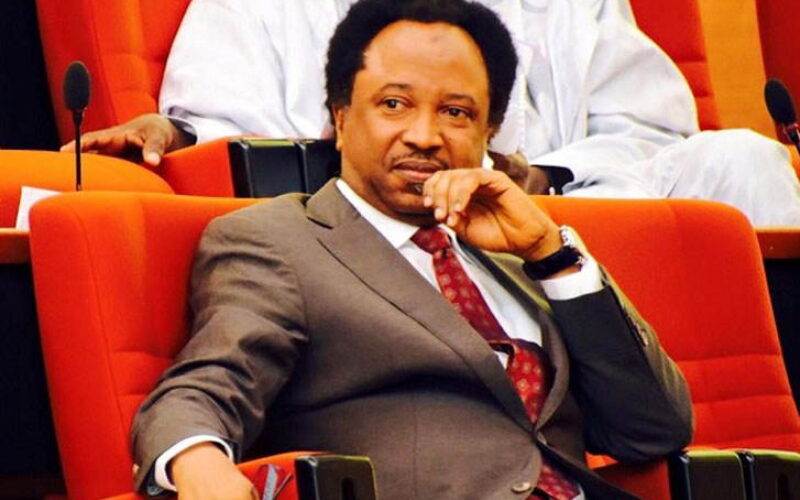 ‘Opposition wants Adeleke to be confrontational with Tinubu’ — Shehu Sani