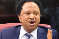Osun Election: Ruling party bigwigs rally against Adeleke — Shehu Sani