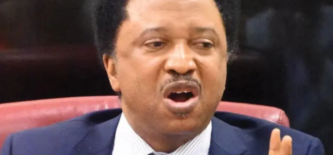 Osun Election: Ruling party bigwigs rally against Adeleke — Shehu Sani