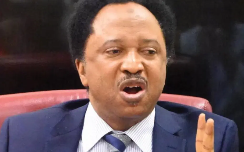 Osun Election: Ruling party bigwigs rally against Adeleke — Shehu Sani