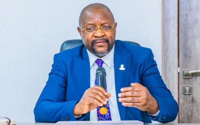 Presidential campaign council list to be adjusted, not reviewed — Presidency