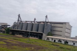 Benue’s Taraku Mills 75 percent ready for full production – Contractor