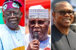 2027 presidency: ACF, PANDEF, MBF, demand scrutiny of candidates’ history