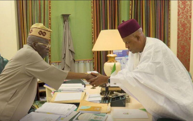 Tinubu deserves praise, not condemnation for reforms — Shettima