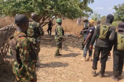 24 relatives of ISWAP terrorists surrender to troops in Borno