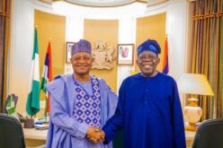 ‘2027 already concluded’ -  Gov Sani vows to give Tinubu 95 percent of Kaduna votes