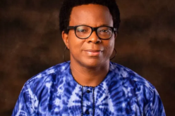 APC Janjaweeds and 2027: Will the Elections Hold? By Ugoji Egbujo