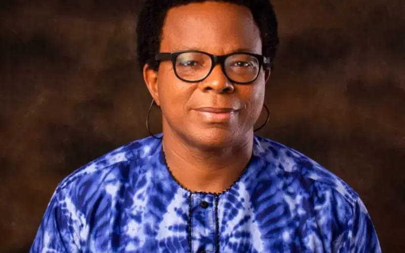 APC Janjaweeds and 2027: Will the Elections Hold? By Ugoji Egbujo