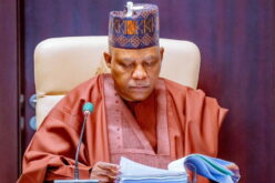VP Shettima’s censure of ethnic profiling