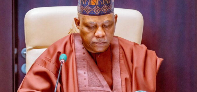 VP Shettima’s censure of ethnic profiling