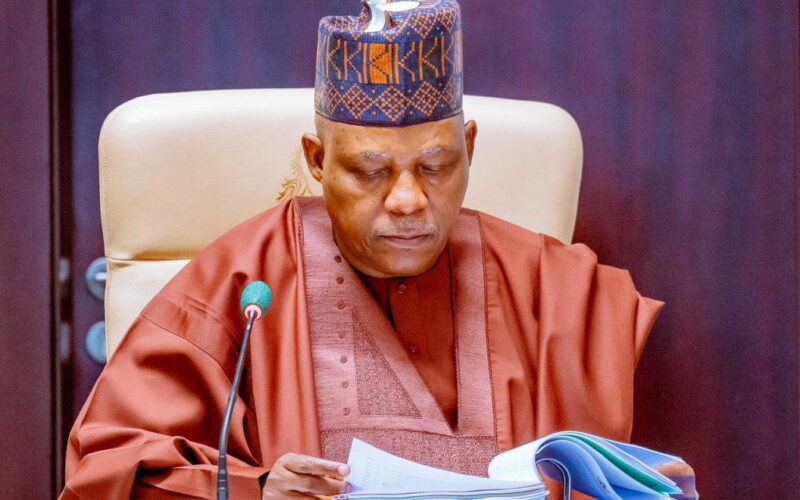 VP Shettima’s censure of ethnic profiling