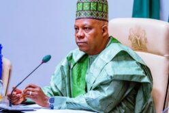 Xenophobic attack: We’ll no longer tolerate dehumanization of our citizens — Shettima