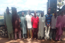 Troops rescue nine kidnapped victims, foil terrorist attacks in Niger