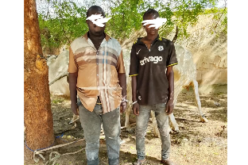 Bribe fails as Bauchi police arrest two over cattle rustling