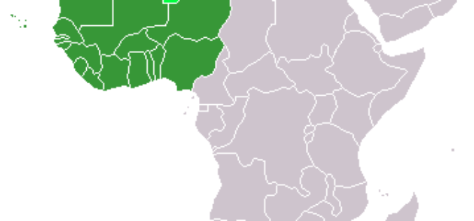 Africa needs $200bn yearly energy investment — IPPG