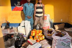 Troops arrest alleged terrorist collaborators in Borno, Yobe