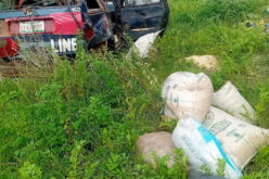 Brake failure injures eight passengers in Plateau auto crash