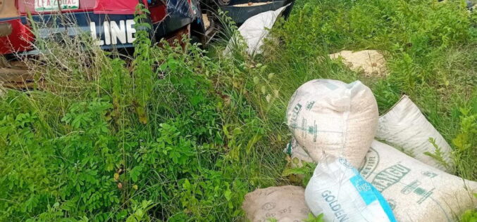 Brake failure injures eight passengers in Plateau auto crash