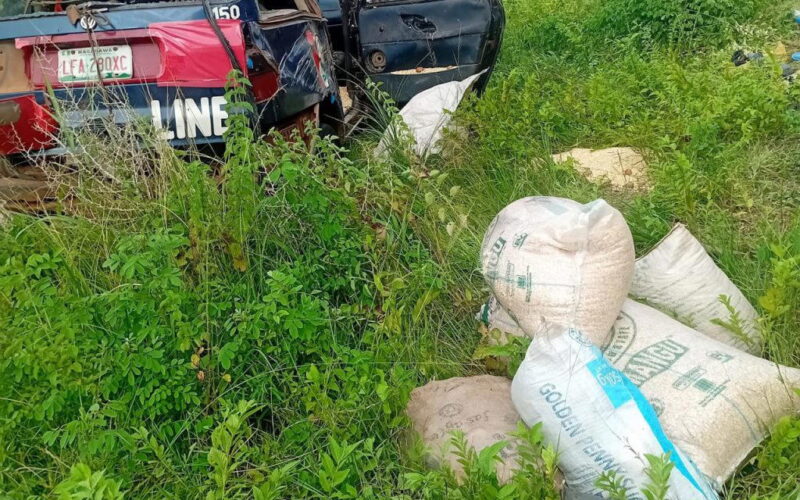 Brake failure injures eight passengers in Plateau auto crash