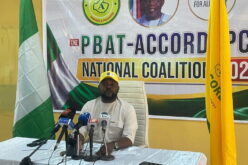 2027: No presidential aspirant matches Tinubu’s capacity, says Imumolen