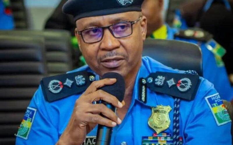 Osun election: IGP Disu deploys DIG Mohammed to supervise security operations