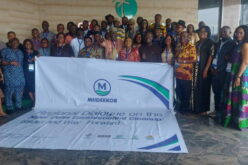 Ogoni cleanup won’t be complete without remediating other Niger Delta communities — Activist
