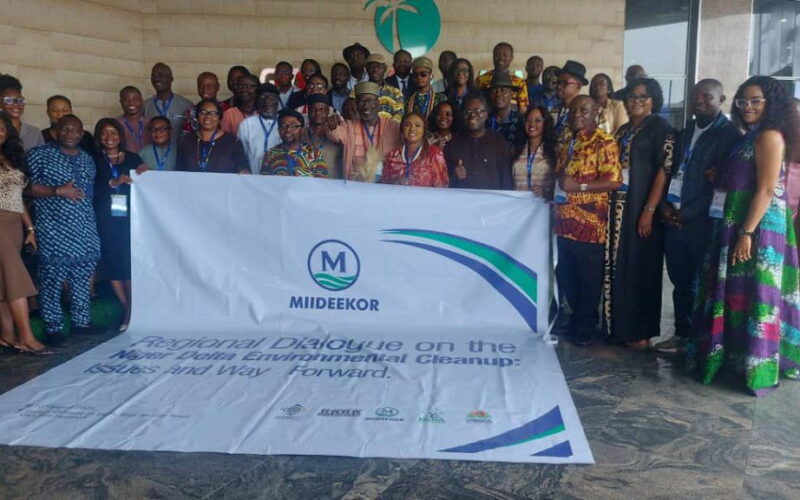 Ogoni cleanup won’t be complete without remediating other Niger Delta communities — Activist