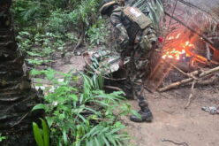 Troops dismantle IPOB/ESN camps in Anambra, kill 3