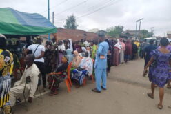 Osun Election: Ede North BVAS fails as herdsmen graze cattle