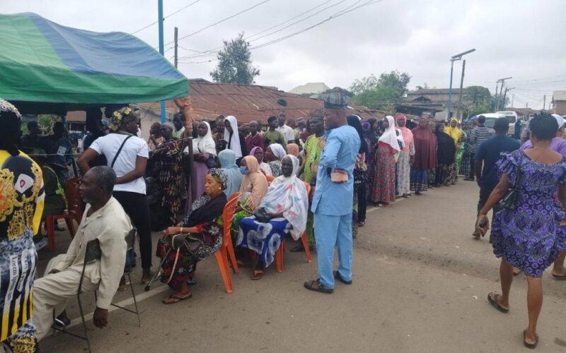 Osun Election: Ede North BVAS fails as herdsmen graze cattle