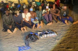Troops foil mass abduction attempt in Zamfara, rescue 9