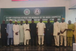 Reps, NADDC seek legislative reforms for auto industry