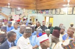 Yobe North leaders back Wali, seek governorship for Zone C