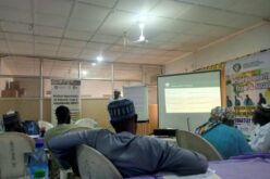 Kano receives returned migrants almost weekly — AHIP