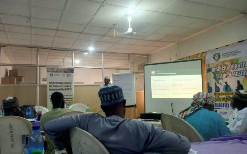 Kano receives returned migrants almost weekly — AHIP