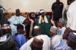 2027: Wali seeks Geidam Emir’s support for Yobe Guber race