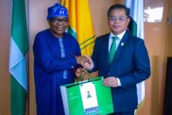 FG to diplomatic missions: Stop bypassing protocols