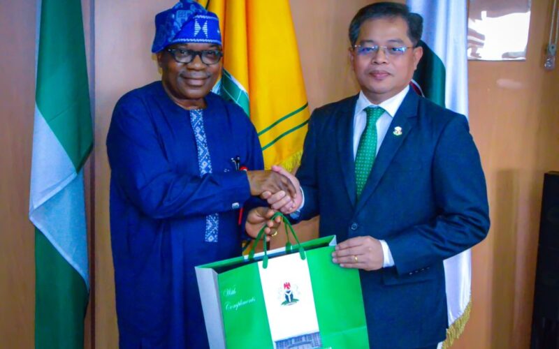FG to diplomatic missions: Stop bypassing protocols