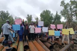 19 Ilaje oil-rich communities raise alarm over alleged Delta incursion